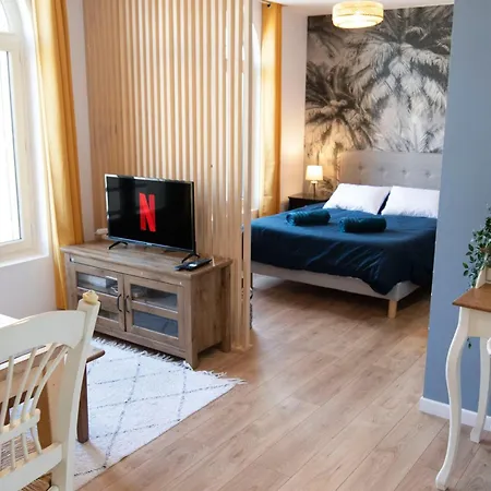 Le Cosy & Boise De Apartment